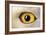 Snowy Owl Close-Up of Eye-Andrey Zvoznikov-Framed Photographic Print