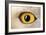 Snowy Owl Close-Up of Eye-Andrey Zvoznikov-Framed Photographic Print