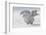 Snowy Owl Flap Wings-Stanislav Duben-Framed Photographic Print