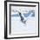 Snowy Owl in Flight-FotoRequest-Framed Photographic Print