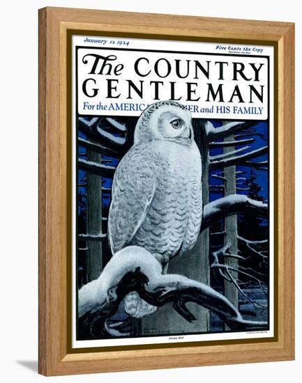 "Snowy Owl in Forest at Night," Country Gentleman Cover, January 12, 1924-Paul Bransom-Framed Premier Image Canvas