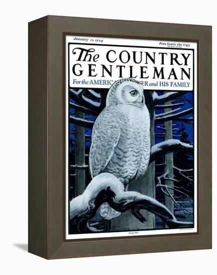 "Snowy Owl in Forest at Night," Country Gentleman Cover, January 12, 1924-Paul Bransom-Framed Premier Image Canvas