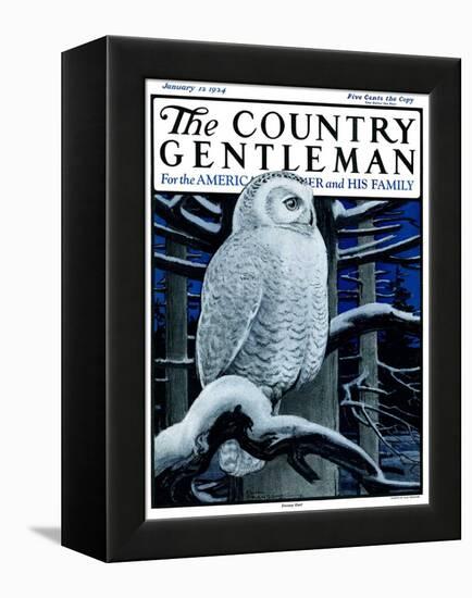 "Snowy Owl in Forest at Night," Country Gentleman Cover, January 12, 1924-Paul Bransom-Framed Premier Image Canvas