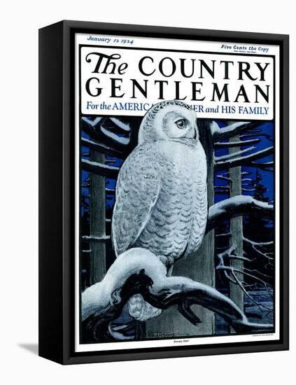 "Snowy Owl in Forest at Night," Country Gentleman Cover, January 12, 1924-Paul Bransom-Framed Premier Image Canvas