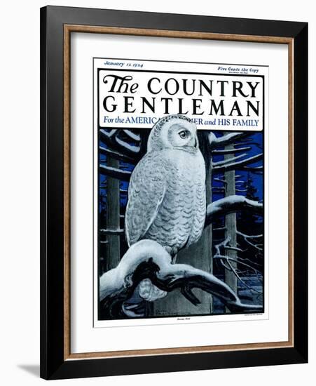"Snowy Owl in Forest at Night," Country Gentleman Cover, January 12, 1924-Paul Bransom-Framed Giclee Print