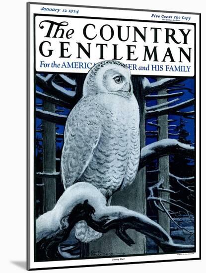 "Snowy Owl in Forest at Night," Country Gentleman Cover, January 12, 1924-Paul Bransom-Mounted Giclee Print