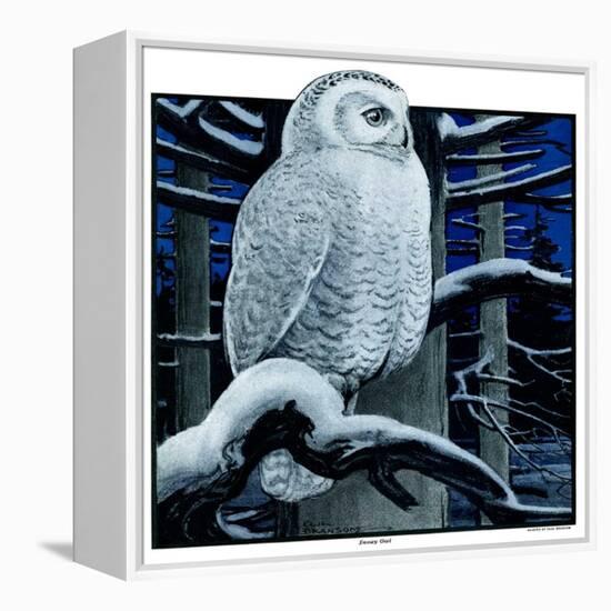 "Snowy Owl in Forest at Night,"January 12, 1924-Paul Bransom-Framed Premier Image Canvas