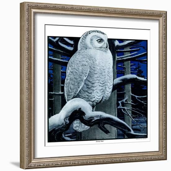 "Snowy Owl in Forest at Night,"January 12, 1924-Paul Bransom-Framed Giclee Print