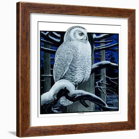 "Snowy Owl in Forest at Night,"January 12, 1924-Paul Bransom-Framed Giclee Print