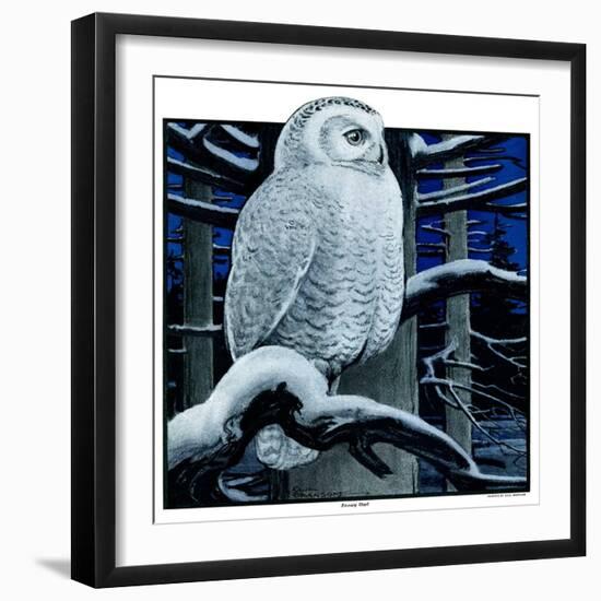 "Snowy Owl in Forest at Night,"January 12, 1924-Paul Bransom-Framed Giclee Print