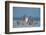 Snowy owl standing behind dried plant in snow, Canada-Markus Varesvuo-Framed Photographic Print