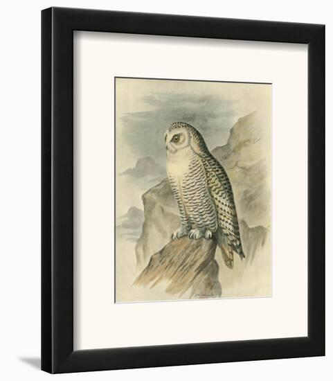 Snowy Owl-F^w^ Frohawk-Framed Art Print