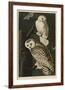 'Snowy Owl' Art Print - John James Audubon | Art.com