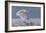 Snowy Owl-Mircea Costina-Framed Giclee Print