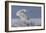 Snowy Owl-Mircea Costina-Framed Giclee Print