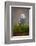 Snowy Owl-Milan Zygmunt-Framed Photographic Print