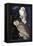 Snowy Owl-John James Audubon-Framed Premier Image Canvas