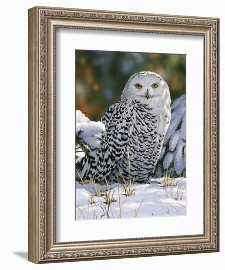 Snowy Owl-William Vanderdasson-Framed Giclee Print