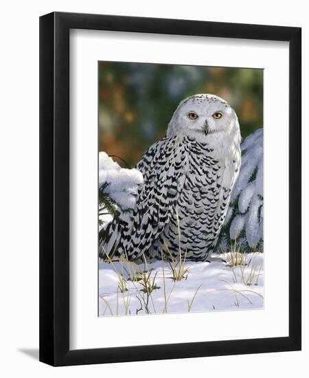 Snowy Owl-William Vanderdasson-Framed Giclee Print