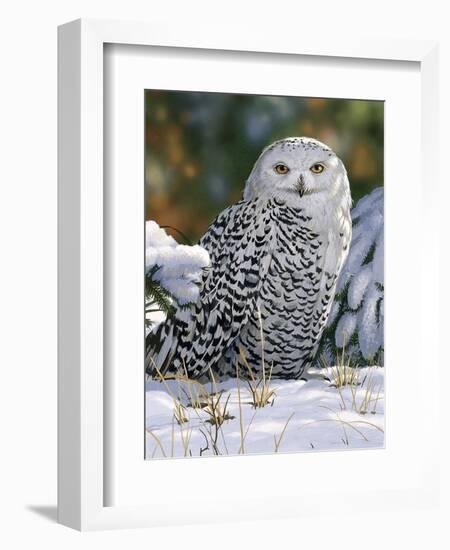 Snowy Owl-William Vanderdasson-Framed Giclee Print