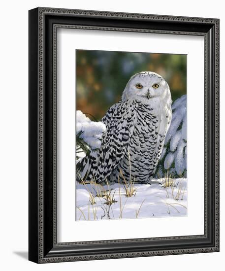 Snowy Owl-William Vanderdasson-Framed Giclee Print