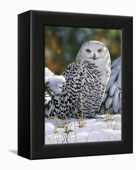 Snowy Owl-William Vanderdasson-Framed Premier Image Canvas