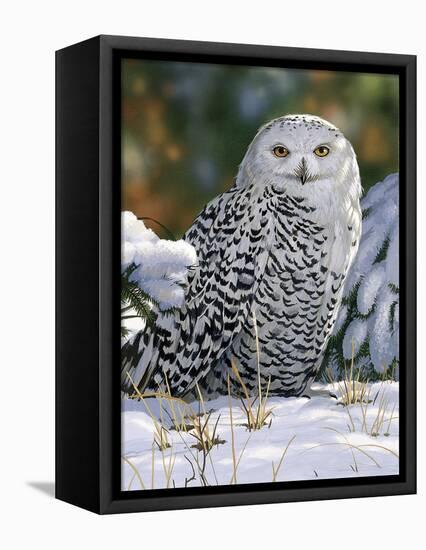 Snowy Owl-William Vanderdasson-Framed Premier Image Canvas