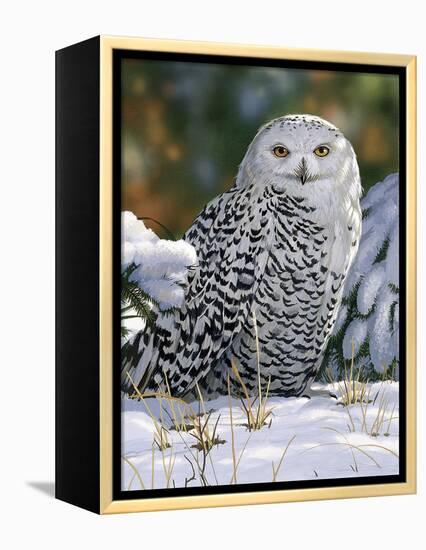 Snowy Owl-William Vanderdasson-Framed Premier Image Canvas