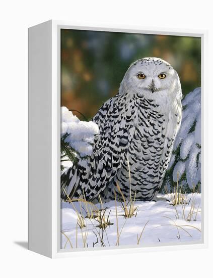 Snowy Owl-William Vanderdasson-Framed Premier Image Canvas