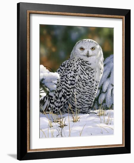 Snowy Owl-William Vanderdasson-Framed Giclee Print