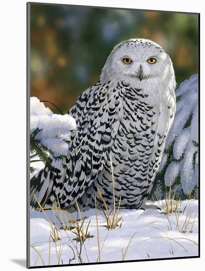 Snowy Owl-William Vanderdasson-Mounted Giclee Print