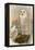 Snowy Owl-John Gould-Framed Stretched Canvas