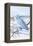 Snowy Owl-Lantern Press-Framed Stretched Canvas