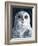 Snowy Owl-Jamin Still-Framed Giclee Print