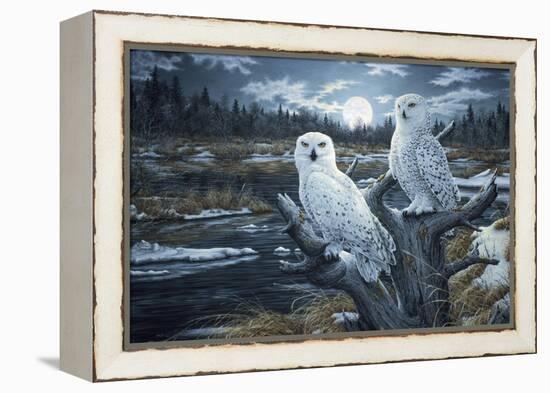 Snowy Owls-Jeff Tift-Framed Premier Image Canvas