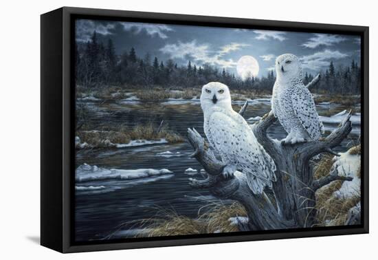 Snowy Owls-Jeff Tift-Framed Premier Image Canvas