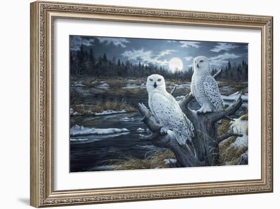 Snowy Owls-Jeff Tift-Framed Giclee Print