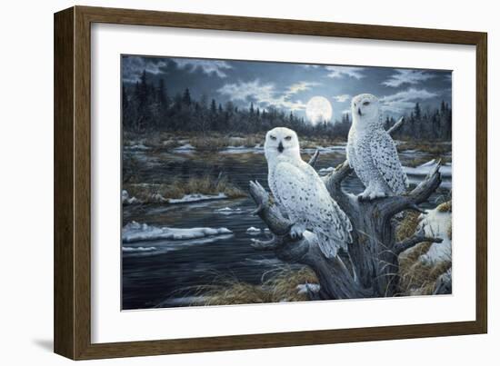 Snowy Owls-Jeff Tift-Framed Giclee Print