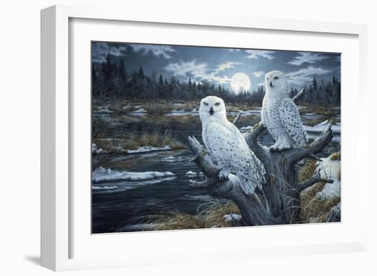 Snowy Owls-Jeff Tift-Framed Giclee Print