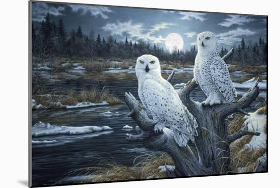 Snowy Owls-Jeff Tift-Mounted Giclee Print