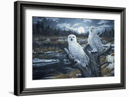 Snowy Owls-Jeff Tift-Framed Giclee Print