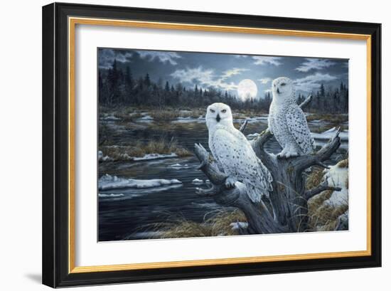 Snowy Owls-Jeff Tift-Framed Giclee Print