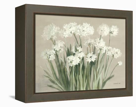 Snowy Paperwhites Neutral-Danhui Nai-Framed Stretched Canvas