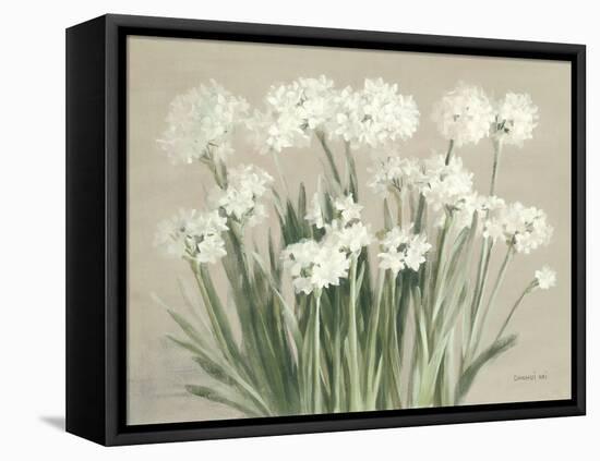 Snowy Paperwhites Neutral-Danhui Nai-Framed Stretched Canvas