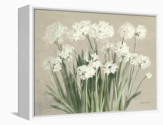 Snowy Paperwhites Neutral-Danhui Nai-Framed Stretched Canvas