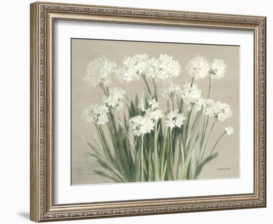 Snowy Paperwhites Neutral-Danhui Nai-Framed Art Print