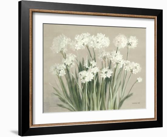 Snowy Paperwhites Neutral-Danhui Nai-Framed Art Print