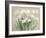 Snowy Paperwhites Neutral-Danhui Nai-Framed Art Print