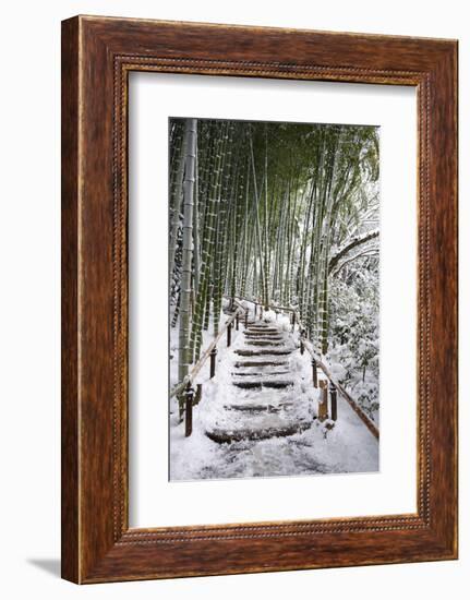 Snowy path in bamboo forest, Kodai-ji temple, Kyoto, Japan, Asia-Damien Douxchamps-Framed Photographic Print