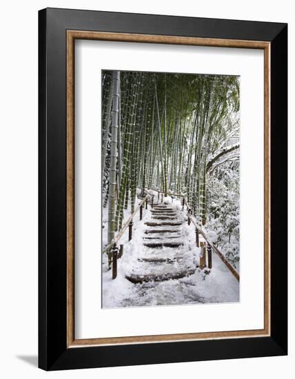 Snowy path in bamboo forest, Kodai-ji temple, Kyoto, Japan, Asia-Damien Douxchamps-Framed Photographic Print